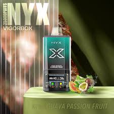 Vigor Box 25k Puffs